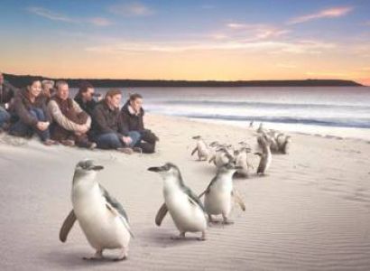 Australian Charm Tour