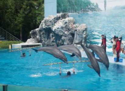 Thailand Expedetion Tour