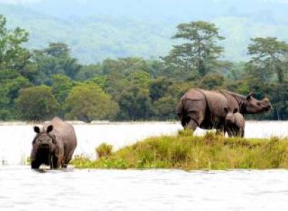 Guwahati, Chandubi Lake, Pobitora, Kaziranga, Shillong, Cherrapunji Tour