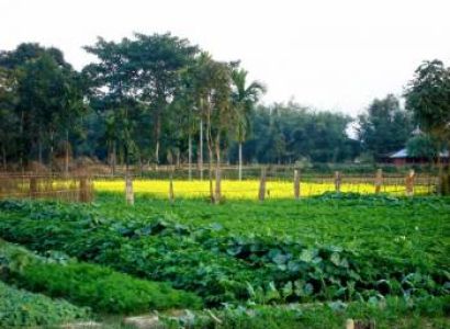 Guwahati, Shillong, Cherrapunji, Umiam, Guwahati Tour