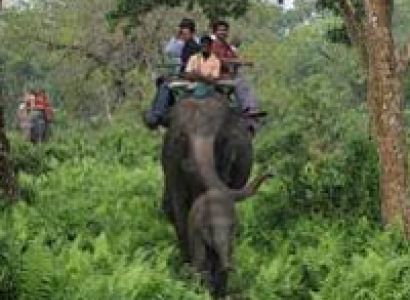 04 Nights 05 Days – Jaldapara(2) & Lataguri(2) Package Tour