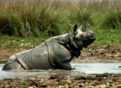 13 Nights 14 DAYS NORTHEAST TOUR