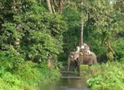 Kalimpong - Dooars Tour packages