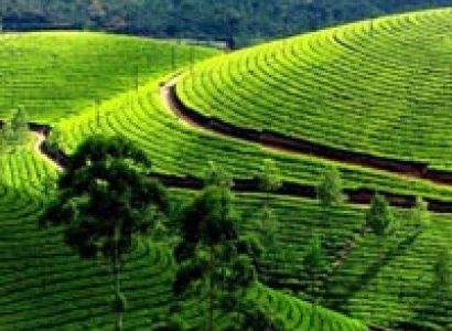 Rejuvenating Kerala Tour