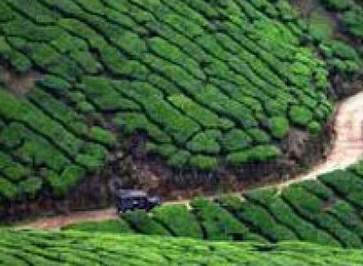 Explore Kerala Beauty Tour
