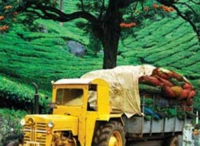 Delightful Kerala Tour