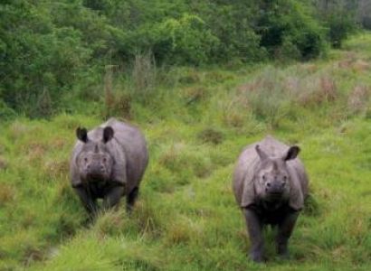 Golden Triangle Nepal Tour