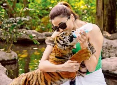 Bangkok & Pattaya Tour