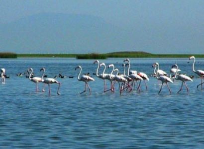 Night Campain in Chilika Tour
