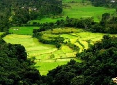 Mangalore - Coorg - Mangalore Tour