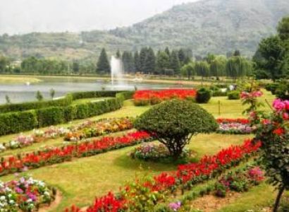 Srinagar Tour