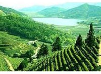 Gangtok Darjeeling Pelling Pacakage