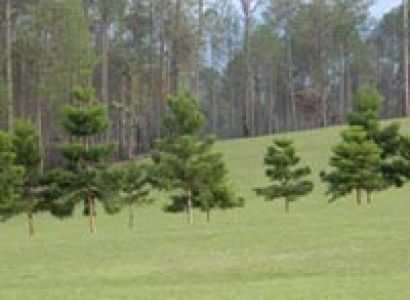 Corbett National Park Tour