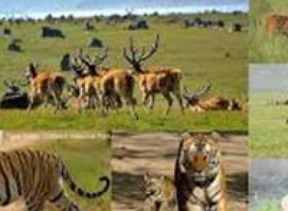 Hilly Uttrakhand Tour