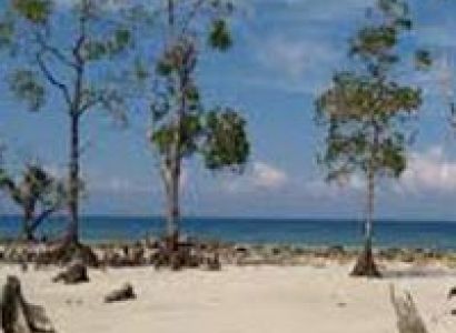 Fascinating Andaman Tour