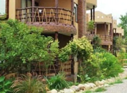 Corbett Wildlife Safari and Sightseeing