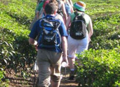 Arzoo, indian Enchanting Kerala Tour