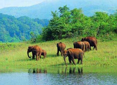 Kerala Kanyakumari Classic Tour