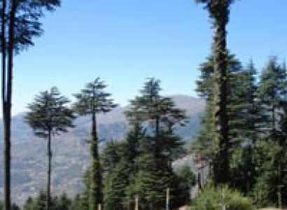 Jammu - Katra - Vaishnodevi Tour