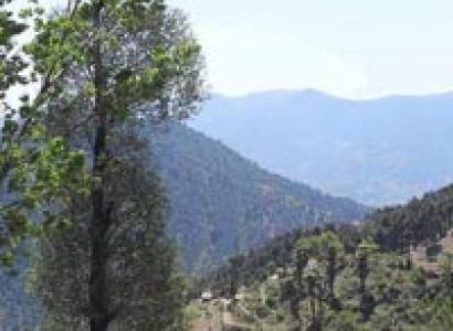 Vaishno Devi & Patnitop Tour