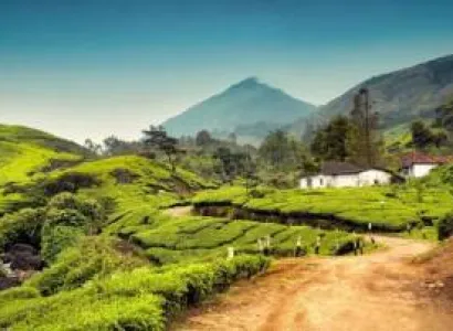 Exotic Kerala - 7N8D