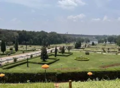 Magical South - 6N7D