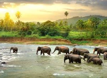 Summer In Sri Lanka 5 Night - 6 Days Tour