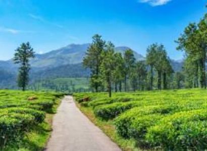 Best Of Karnataka 4 Night - 5 Days Tour