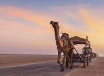Cultural Heritage Of Kutch 5 Night - 6 Days Tour