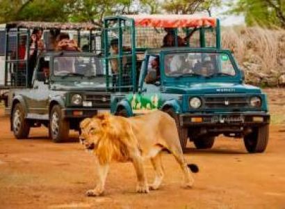 Divine Gujarat Journey 5 Night - 6 Days Tour