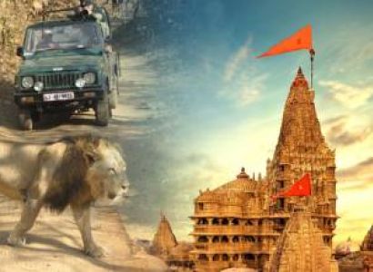 Cultural Gujarat 8 Night - 9 Days Tour