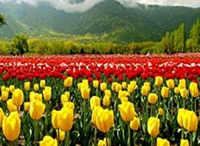 Incredible Kashmir Tour