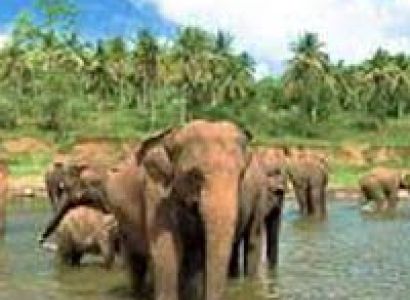 Maldives and Sri Lanka Tour