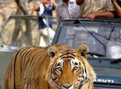 Corbett Adventure 2 Nights/3 Days Tour