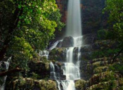 Green View Tripura Tour