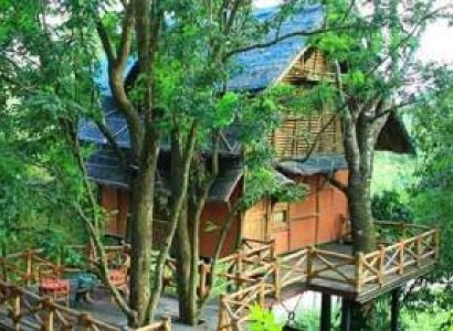Periyar Tour with Treehouse