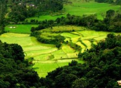 Blissful Days in Coorg Tour
