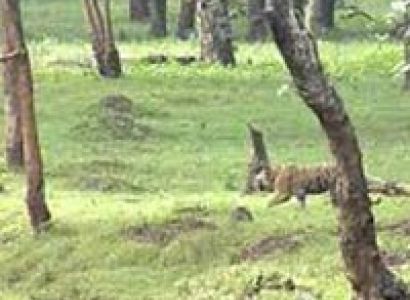 Short Escape to Kabini Tour