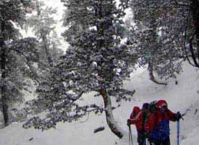 Snow Winter Trek Tour