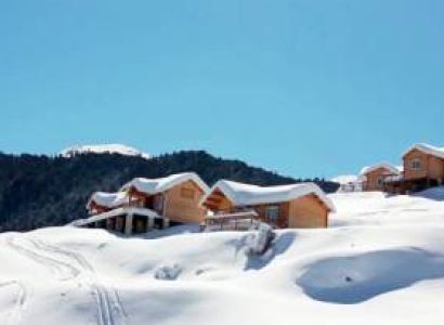 Auli Summer and Winter Camps Tour