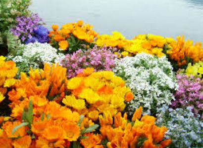 Kashmir Paradise Tour