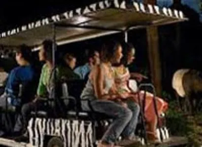 Singapore & Malaysia Tour Package Rs.35000 With Flight Ticket - Jolly Holidays