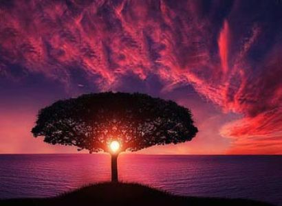 Andaman Tour Package - Jolly Holidays