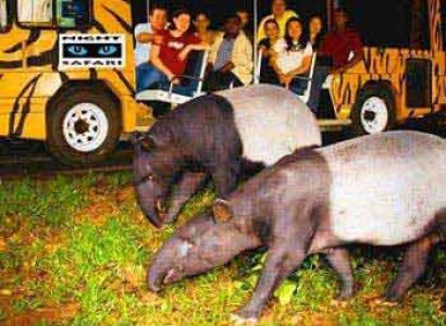 Singapore & Malaysia Jolly Holidays