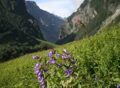 Valley of Flowers Trek Tour