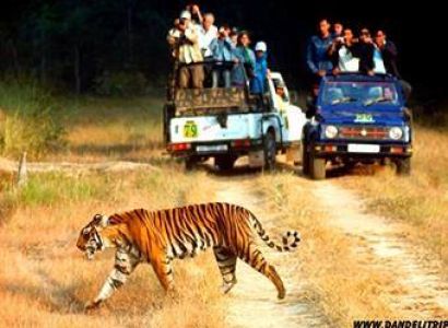 Coorg Rs.5,999/-every Saturday Agents Welcome Tac Applicable 2 N / 3 Days