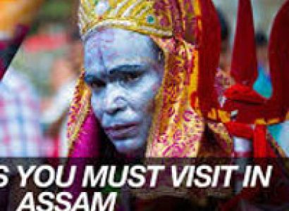 Wild Life Tour Package Assam