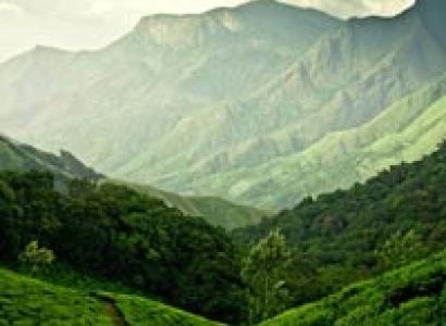 Hills of Kerala Tour