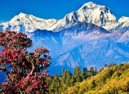 Kathmandu - Pokhara - Chitwan Tour