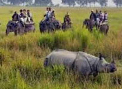 Kaziranga National Park Tour